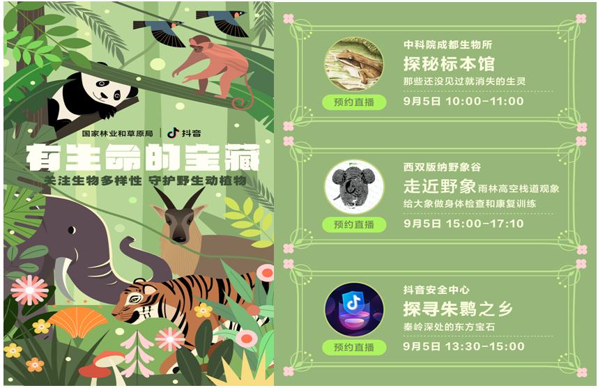广告电商商业模式的消费返佣是怎么赚钱的？看广告赚钱实现企业和消费者共赢